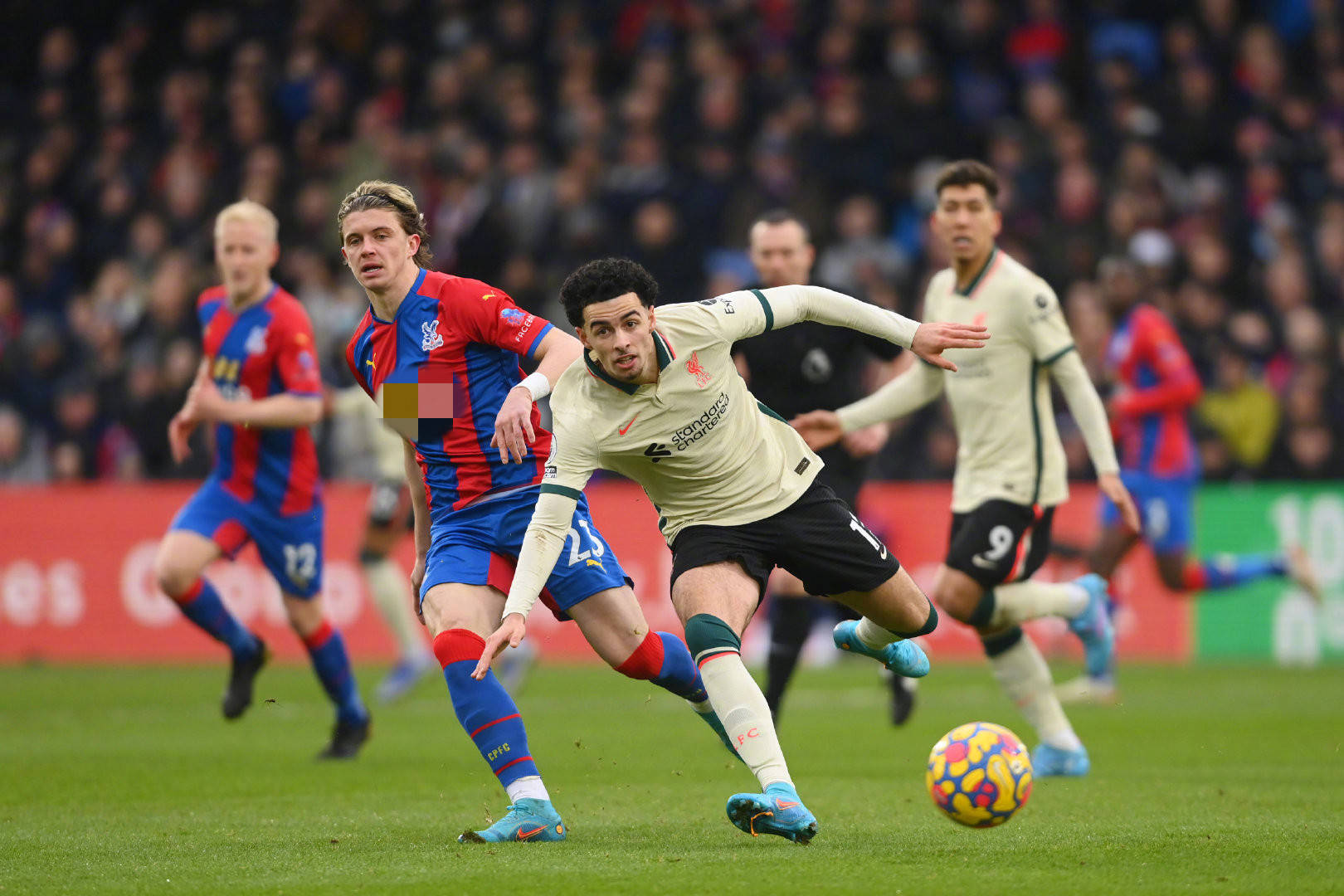 爱德华兹 爱德华兹